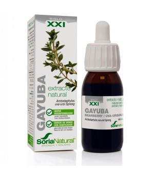 Gayuba Extracto S.XXI 50 ml. Soria Natural