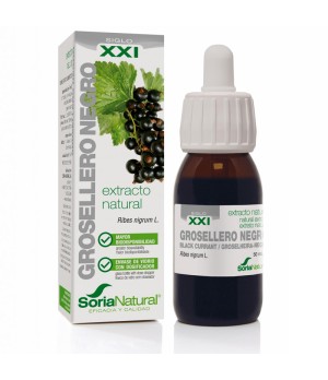 Grosellero Negro Extracto S.XXI 50 ml. Soria Natural