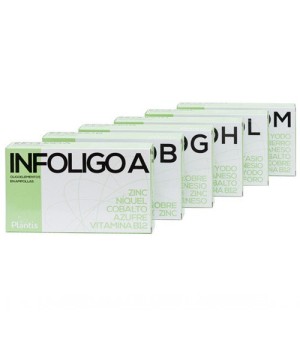 INFOLIGO-M