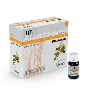 Plantaggio HB 20 viales Derbos