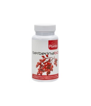 Berberina BCR 60 cáp. - Plantis