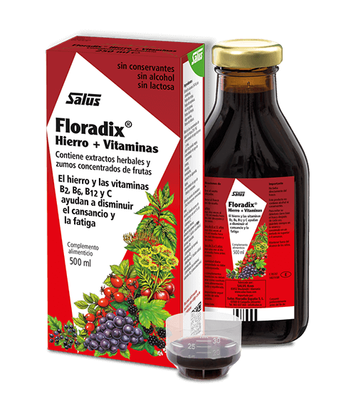 Floradix 500 ml. - Salus