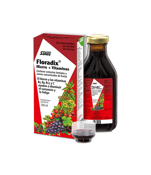 Floradix 250 ml. - Salus