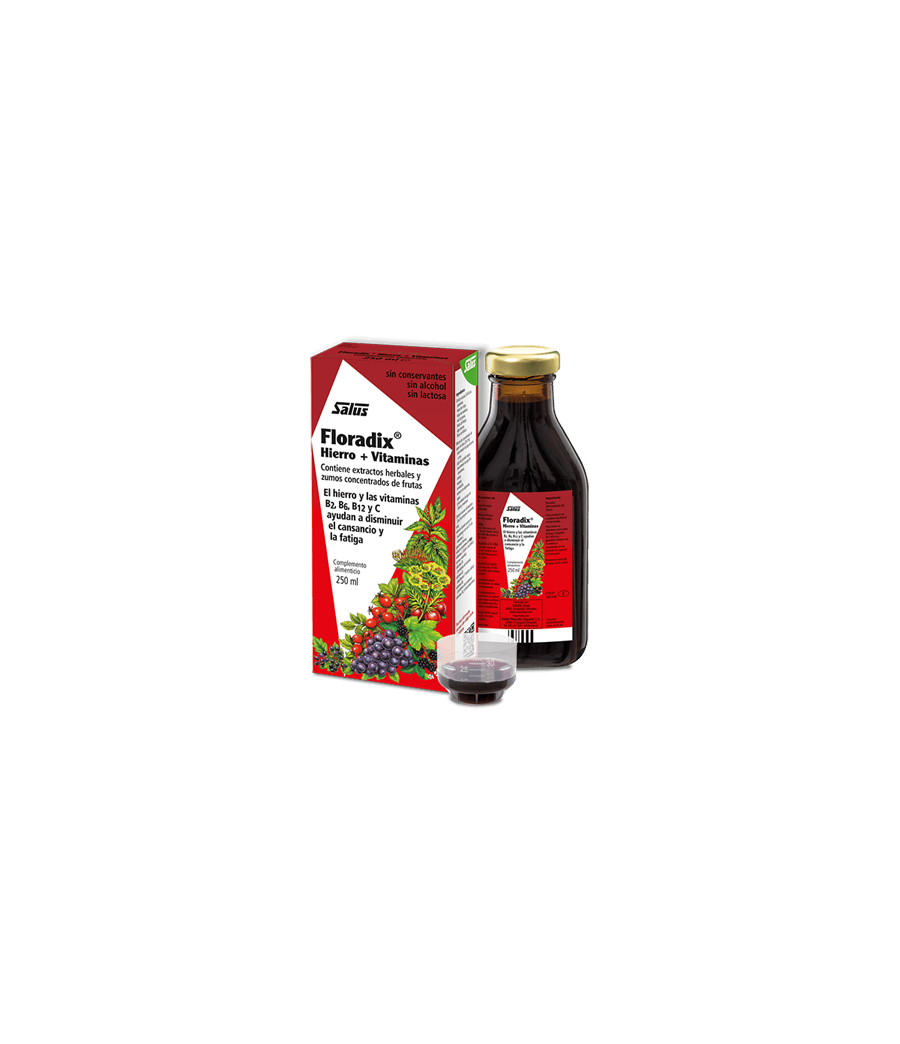 Floradix 250 ml. - Salus