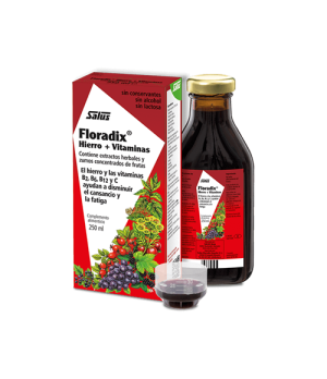 Floradix 250 ml. - Salus