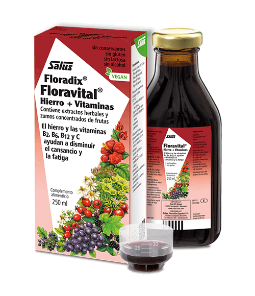 Floradix Floravital 250 ml. - Salus