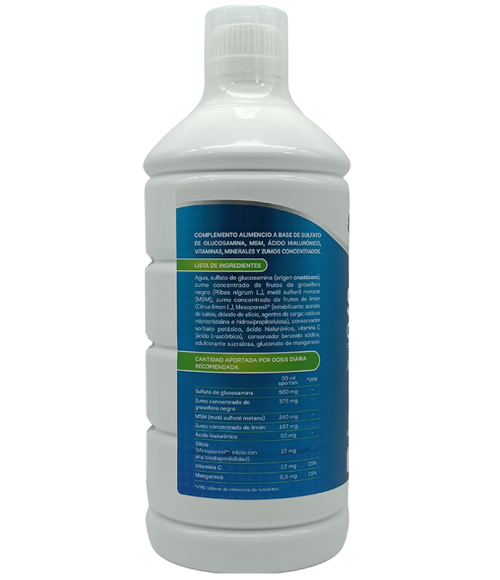 Silicio Complex 1.000 ml. Natysal