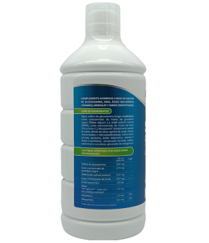 Silicio Complex 1.000 ml. Natysal