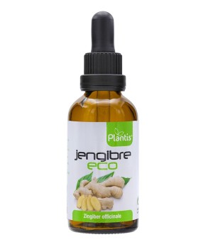Extracto De Jengibre Eco 50 ml Plantis