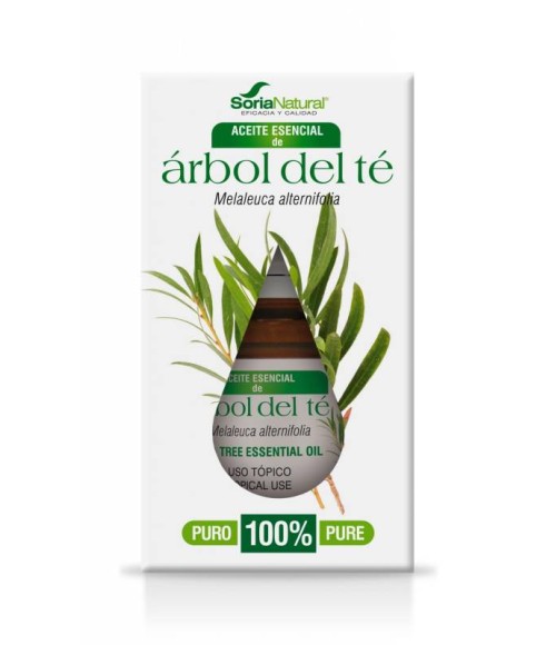 Aceite Esencial Árbol de Té