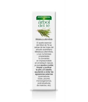 Aceite Esencial Árbol de Té