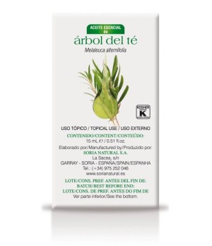 Aceite Esencial Árbol de Té