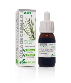 Cola de Caballo Extracto S.XXI