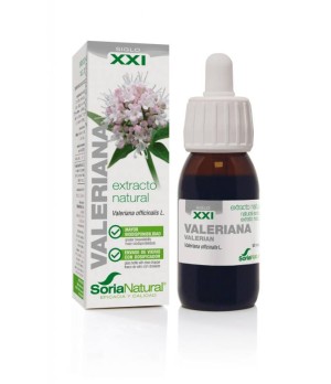 Valeriana Extracto S.XXI
