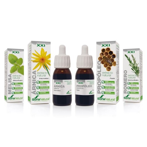 Plantas medicinales
