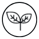 Planta fresca